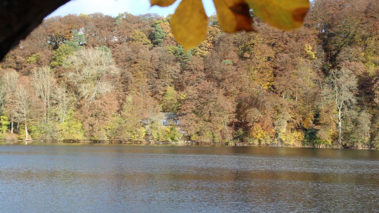 Ein ruhiger See umgeben von buntem Herbstlaub. Die Bäume spiegeln sich im Wasser und schaffen eine friedliche Atmosphäre.