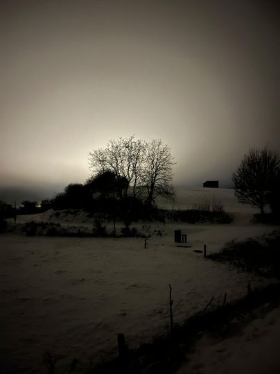 Ein schneebedecktes Feld unter einem bewölkten Himmel. Silhouetten von Bäumen sind im Hintergrund sichtbar.