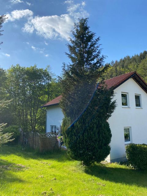 Ein weißes Haus umgeben von grünen Bäumen und einem gepflegten Garten. Der Himmel ist blau mit einigen Wolken.