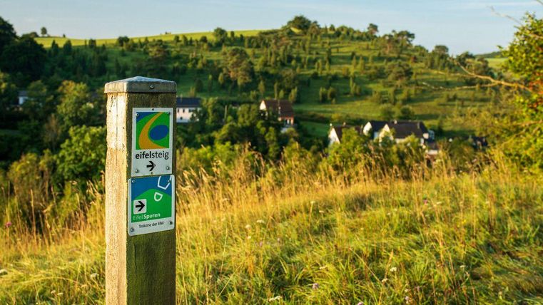 Ein Wegweiser des Eifelsteigs steht auf einem Wanderweg. Im Hintergrund sind sanfte Hügel und einige Häuser sichtbar.