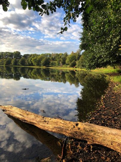 Ein ruhiger See mit spiegelndem Wasser und einer malerischen Uferlandschaft. Grüne Bäume umgeben den See und der Himmel ist teilweise bewölkt.