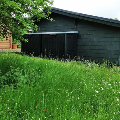 Ein schwarzes Gartenhaus steht im Grünen. Der Garten ist mit hohen Gräsern und einigen Blumen bewachsen.