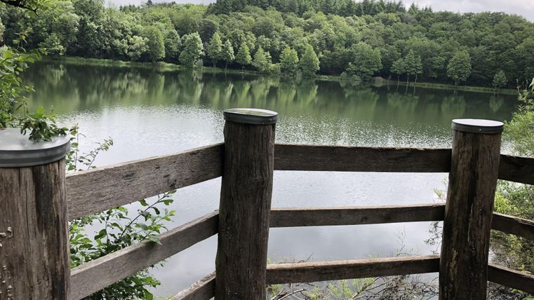 Eine ruhige Seenlandschaft mit grünen Bäumen im Hintergrund. Ein Holzgeländer gibt einen schönen Ausblick auf das Wasser.