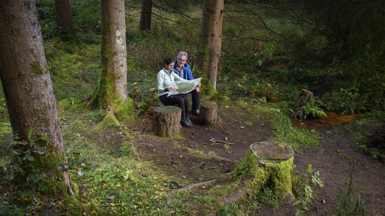 Ein Paar sitzt auf Baumstümpfen im Wald und schaut auf eine Karte. Die Umgebung ist grün und voller Bäume, was eine ruhige Atmosphäre schafft.