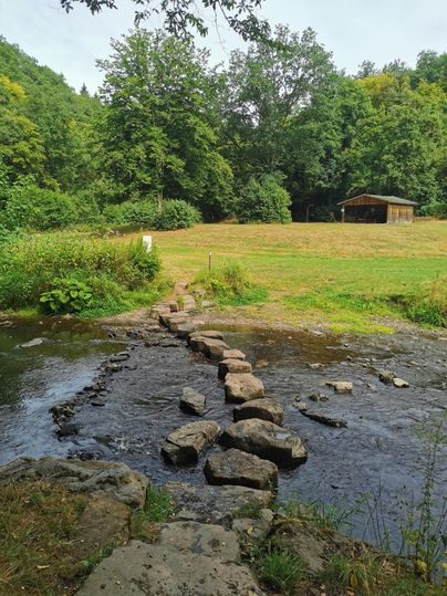 Ein klarer Bach mit Steinen, die als Brücke dienen. Im Hintergrund sind grünes Gras und Bäume zu sehen.