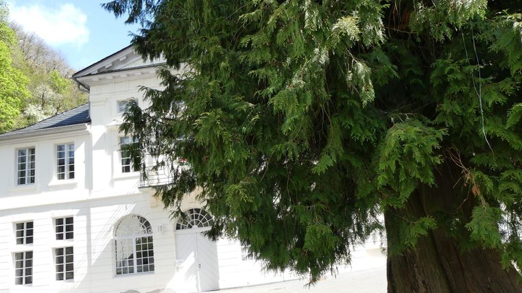 Ein elegantes, weißes Gebäude, umgeben von Bäumen. Im Vordergrund steht ein großer, grüner Baum.