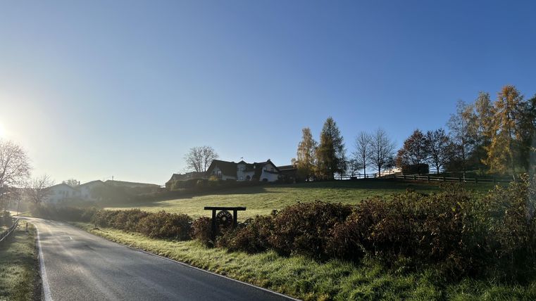 Eine ruhige Landschaft mit einer Straße, die durch das Grüne führt. Im Hintergrund sind charmante Häuser und Bäume zu sehen, unter einem klaren blauen Himmel.