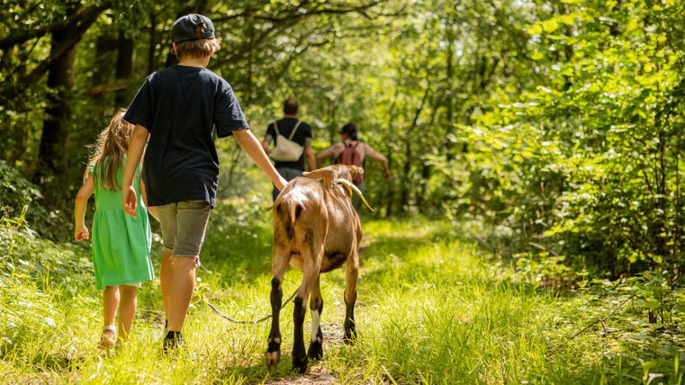 Ein Junge und ein Mädchen gehen mit einem Hund auf einem schmalen Weg durch einen Wald. Die Sonne scheint und die Umgebung ist grün und einladend.