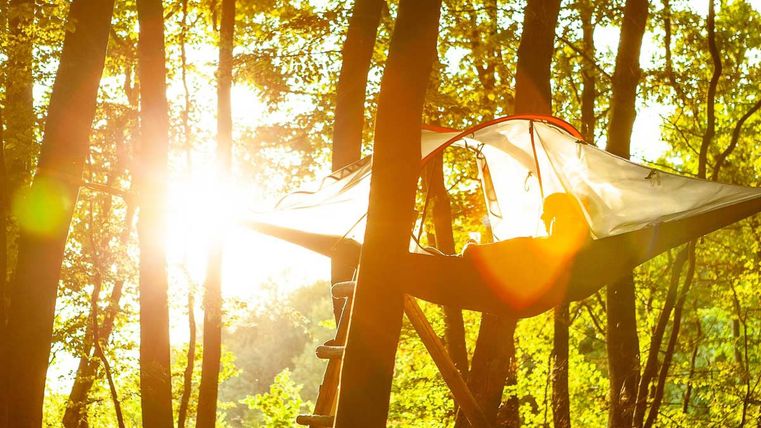 Baumzelt im Wald in der Sonne