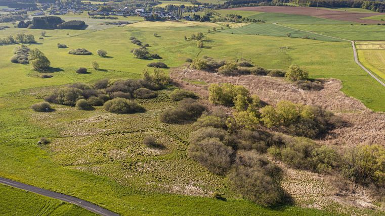 Eine weitläufige, grüne Landschaft mit sanften Hügeln und vereinzelten Bäumen. Im Vordergrund sind kleine Strukturen und natürliches Gelände sichtbar.