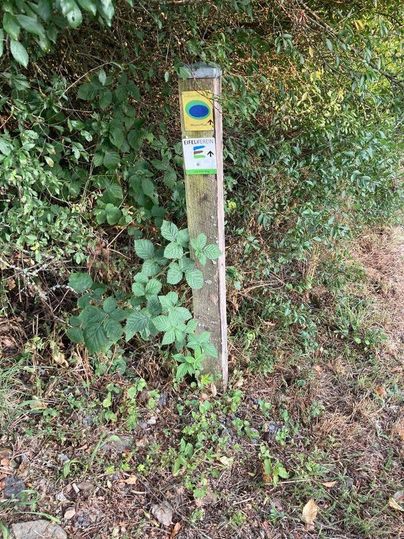 Ein Wegweiser steht im Grünen, umgeben von Büschen und Pflanzen. Die Schilder zeigen Richtungshinweise für Wanderer.