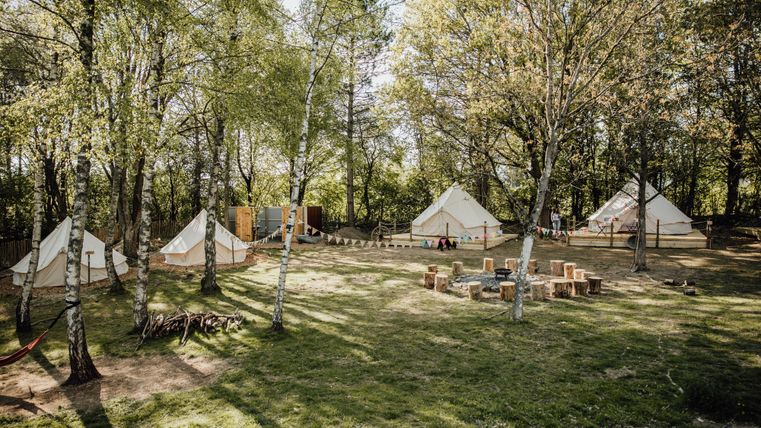 Eine ruhige Campinglandschaft mit mehreren Zelten in einem bewaldeten Bereich. Die sonnige Wiese bietet Platz für Aktivitäten und Entspannung.