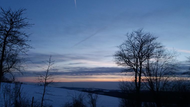 Eine winterliche Landschaft mit schneebedeckten Feldern und kahlen Bäumen. Der Himmel ist in sanften Blautönen und ein zarter Sonnenuntergang ist sichtbar.