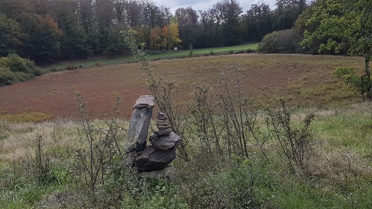 Ein Steinhaufen steht auf einer Wiese, umgeben von niedrigen Pflanzen. Im Hintergrund sieht man ein braunes Feld und eine bewaldete Fläche.