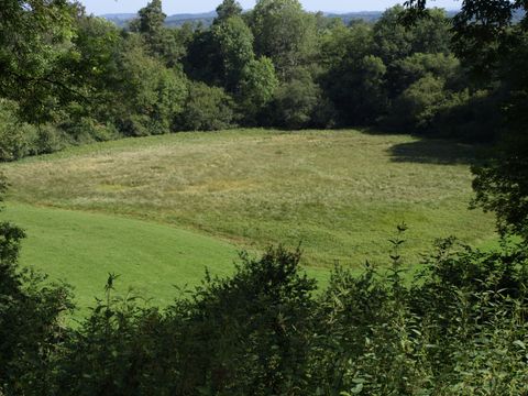 Eine grüne Wiese umgeben von Bäumen und sanften Hügeln. Der Himmel ist klar und die Natur wirkt friedlich.