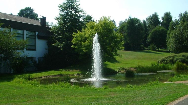 Ein ruhiger Park mit einem kleinen Teich und einem sprudelnden Brunnen. Im Hintergrund sind grüne Bäume und ein Gebäude zu sehen.