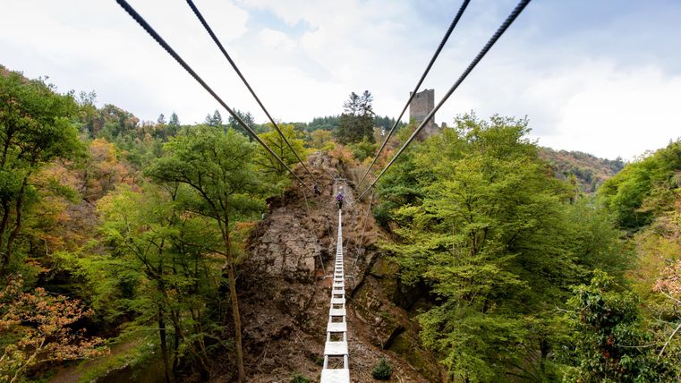 Eine schmale Hängebrücke spannt sich über einen Wald mit grünen Bäumen. Im Hintergrund ist eine alte Burgruine sichtbar.