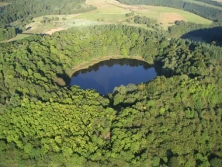 Ein idyllischer Wald mit einem kleinen, klaren Teich in der Mitte. Rund um den Teich wachsen viele grüne Bäume.