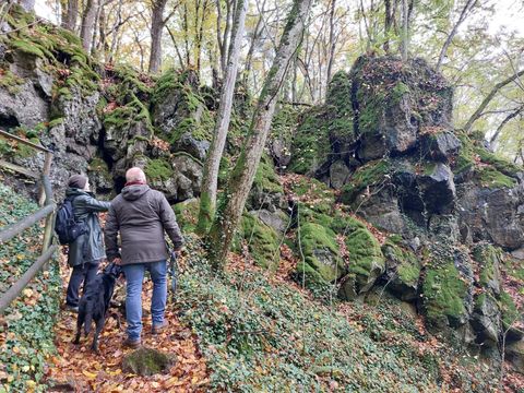 Ein Paar steht auf einem Wanderweg in einem Wald mit moosbedeckten Felsen. Laub und grüne Pflanzen umgeben die Szene.