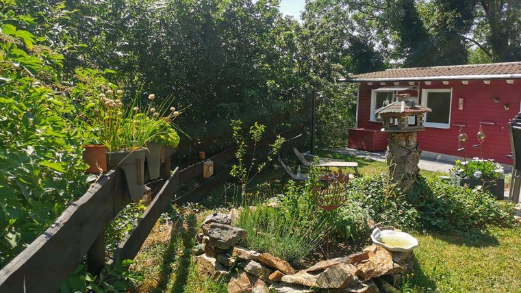 Ein schöner Garten mit viel Grün und einem kleinen Steinhaufen. Im Hintergrund steht ein rotes Gebäude.
