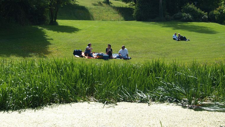 Eine sonnige Wiese mit mehreren Personen, die entspannt auf einer Decke sitzen. Im Vordergrund wächst hohes Gras und es sind einige Blätter auf dem Boden sichtbar.