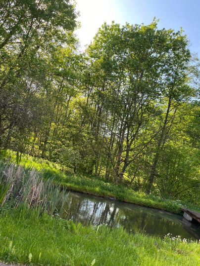 Ein ruhiger Teich umgeben von grünen Bäumen und frischer Vegetation. Das Sonnenlicht scheint durch die Blätter und sorgt für eine friedliche Atmosphäre.