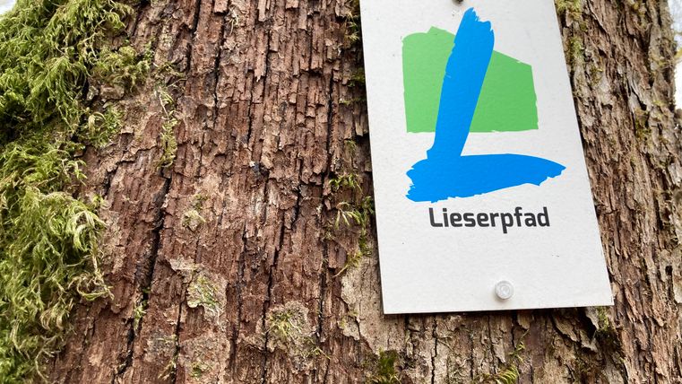 Ein Schild mit dem Logo des Lieserpfads an einem Baumstamm.