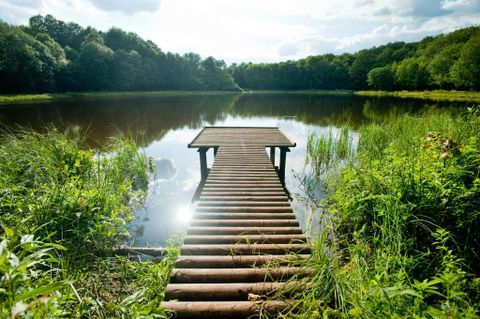 Ein Holzsteg führt über das ruhige Wasser eines Karpfenteichs. Umgeben von üppigem Grün und Bäumen strahlt die Szene Ruhe und Naturverbundenheit aus.