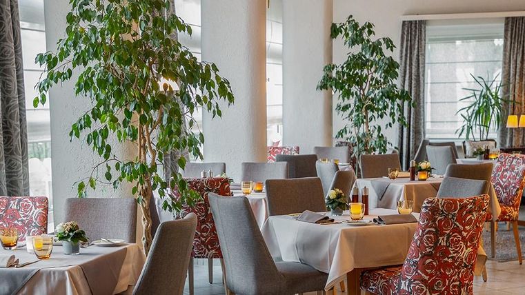 Ein elegantes Restaurant mit hellen Tischen und gemütlichen Stühlen. Pflanzen verleihen dem Raum eine angenehme Atmosphäre.