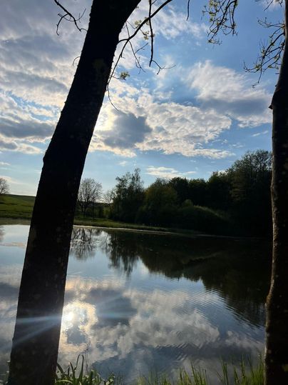 Ein ruhiger See, umgeben von Bäumen, spiegelt die Wolken und das Licht des Himmels wider. Die Szenerie vermittelt eine friedliche und natürliche Atmosphäre.