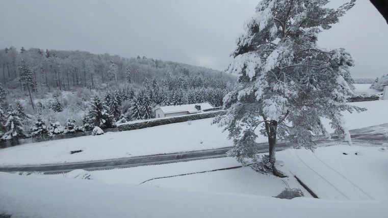 Eine verschneite Landschaft mit einem großen Baum im Vordergrund und schneebedeckten Feldern im Hintergrund. Der Himmel ist grau und bewölkt.