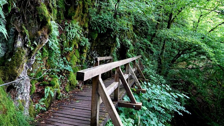 Eine Holzbrücke führt durch einen grünen Wald mit moosbedeckten Felsen. Üppige Pflanzen umgeben den Weg und schaffen eine ruhige Atmosphäre.
