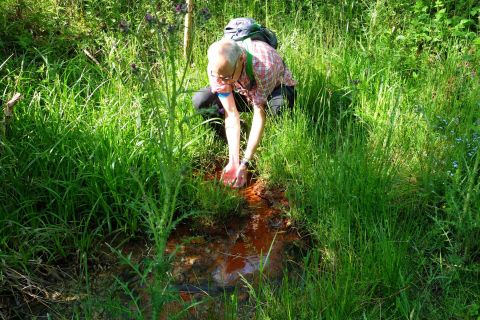 Eine Person beugt sich über einen kleinen Teich in einer grünen Lichtung. Umgeben von hohem Gras und Bäumen sammelt sie Wasser.