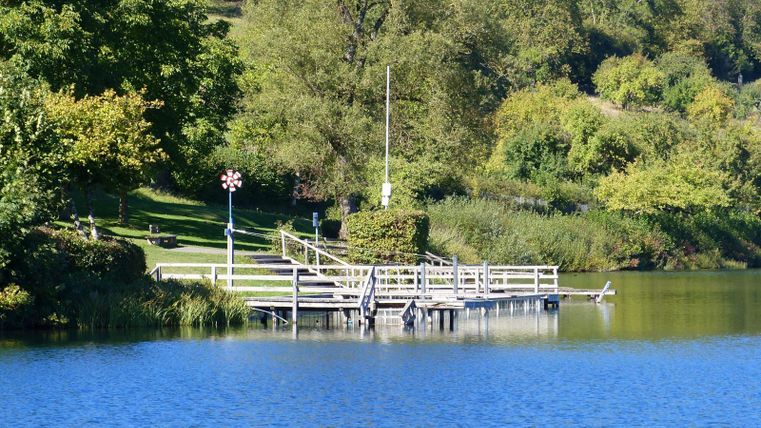 Ein ruhiger See mit einem Holzsteg und grünem Ufer. Die Umgebung ist von Bäumen und Sträuchern geprägt.