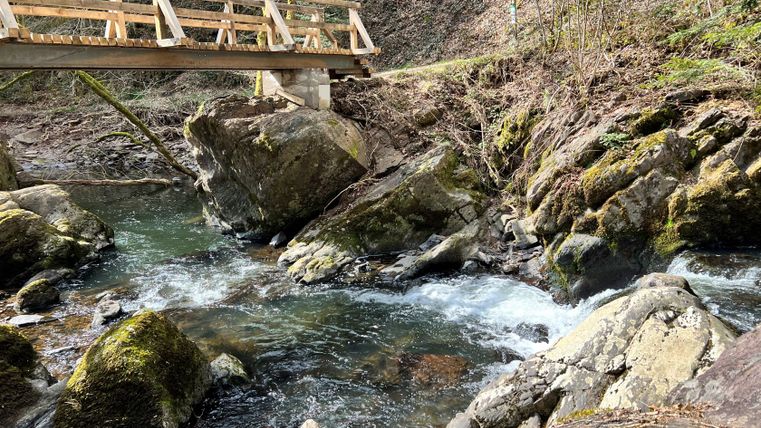 Holzbrücke über einen Bach mit Felsen und Moos.
