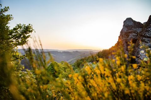Eine malerische Landschaft mit grünen Hügeln und gelben Blumen im Vordergrund. Im Hintergrund ist eine Felsformation und der Sonnenuntergang zu sehen.