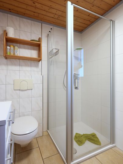 Ein modernes Badezimmer mit einer Duschkabine und einer Toilette. Der Boden ist gefliest und es gibt eine Holzdecke.