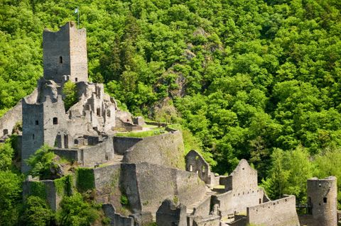 Ruinen der Niederburg Manderscheid umgeben von grünen Wäldern.