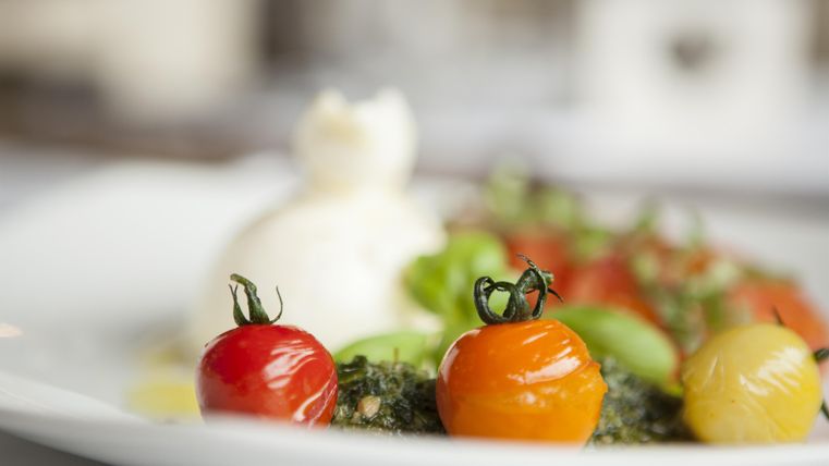 Ein Teller mit frischen, bunten Kirschtomaten und cremigem Mozzarella. Das Gericht ist ansprechend angerichtet und wirkt appetitlich.