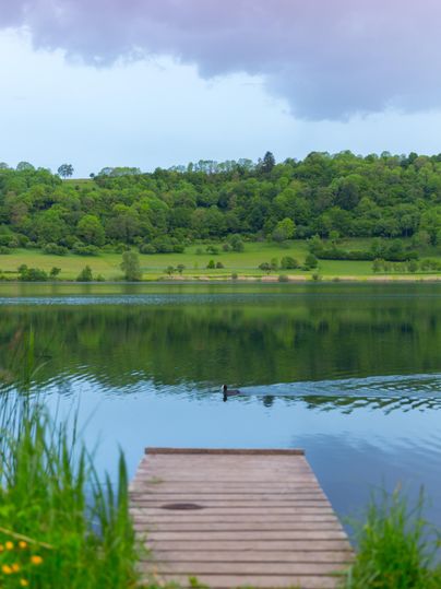 Ein ruhiger See mit einem Holzsteg und grünem Ufer. Sanfte Hügel und bewölkter Himmel im Hintergrund.