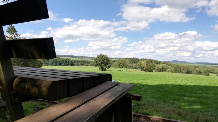 <p>Blick von XXL-Bank umgeben von Vegetation</p>