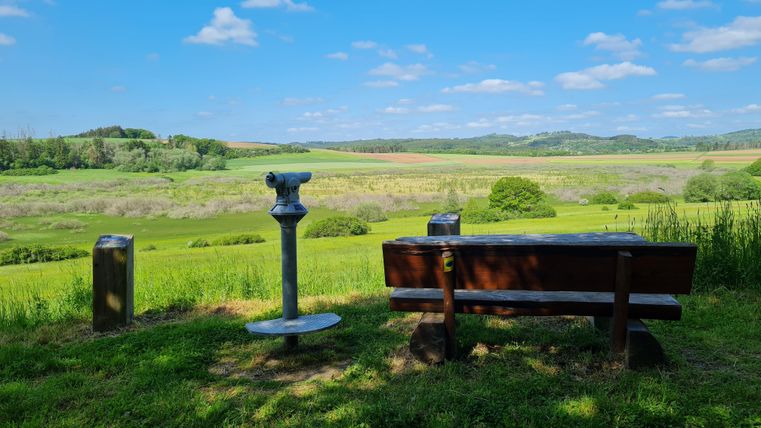 Eine ruhige Aussicht auf eine grüne Landschaft mit sanften Hügeln. Im Vordergrund steht eine Bank und ein Fernglas.