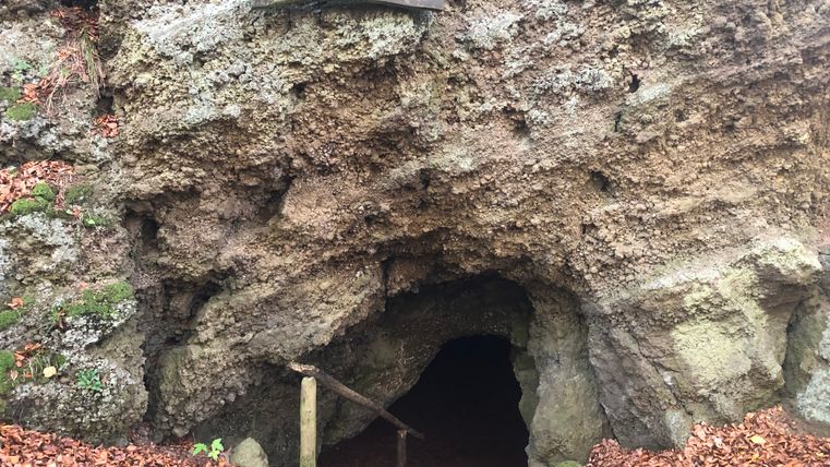 Eingang zur Martinshöhle in Hohenfels Essingen, umgeben von Laub und Felsen.