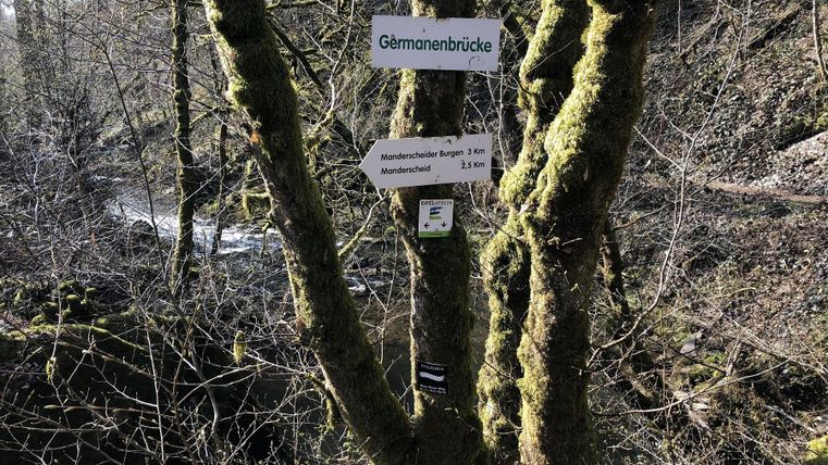 Ein Baum mit Schildern, die zur Glemmenbrücke und anderen Zielen führen. Im Hintergrund ist ein kleiner Fluss zu sehen.