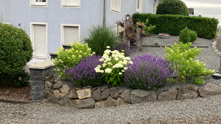 Ein schöner Garten mit bunten Blumen und Sträuchern. Der Bereich ist mit Kies und Steinen gestaltet, umrahmt von einem hellblauen Haus.