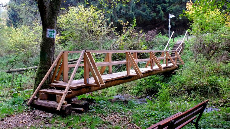 Eine Holzbrücke führt über einen kleinen Bach in einer grünen Umgebung. Im Hintergrund sind Bäume und eine Treppe sichtbar.