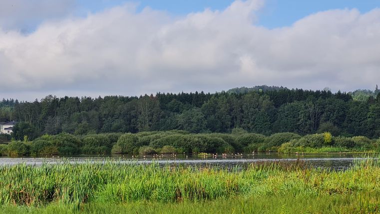 Ein ruhiger See umgeben von grünen Wiesen und Bäumen. Der Himmel ist bewölkt mit einigen Sonnenstrahlen.