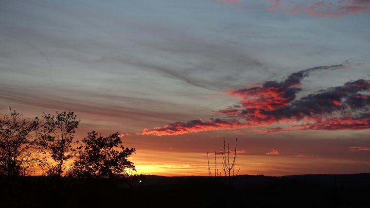 Ein wunderschöner Sonnenuntergang mit bunten Wolken am Himmel. Silhouetten von Bäumen umrahmen die Landschaft.