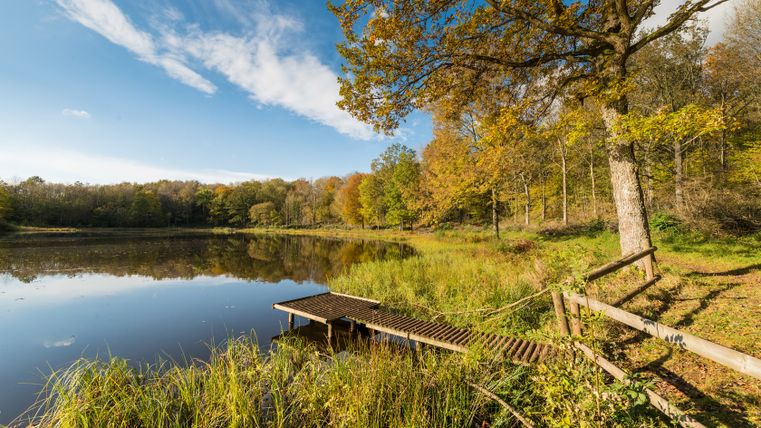 Windsborn-Kratersee mit einem Steg, umgeben von Herbstwald.