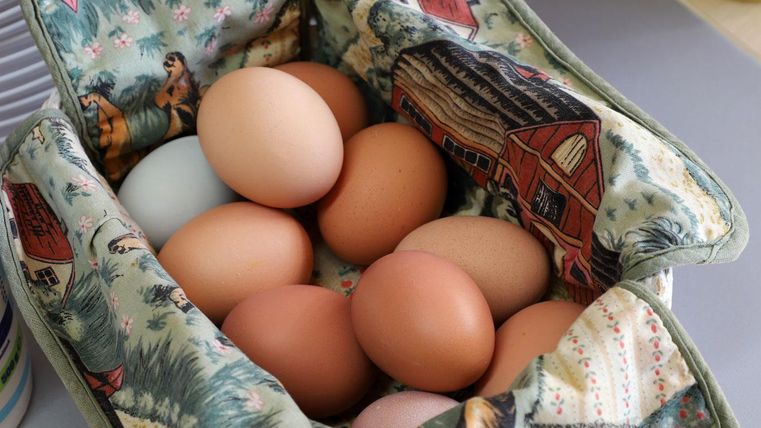 Ein Korb mit verschiedenen Eiern in einem bunten Täschchen. Die Eier haben unterschiedliche Farben und sind sorgfältig angeordnet.